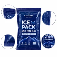 Custom Cold Preservation Ice Packs for Cold Chain Transportation, Food Freshness and Pharmaceutical Cold Storage Insulation Ice Packs Manufacturer