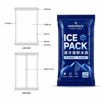 Custom Cold Preservation Ice Packs for Cold Chain Transportation, Food Freshness and Pharmaceutical Cold Storage Insulation Ice Packs Manufacturer