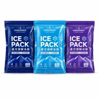 Custom Cold Preservation Ice Packs for Cold Chain Transportation, Food Freshness and Pharmaceutical Cold Storage Insulation Ice Packs Manufacturer