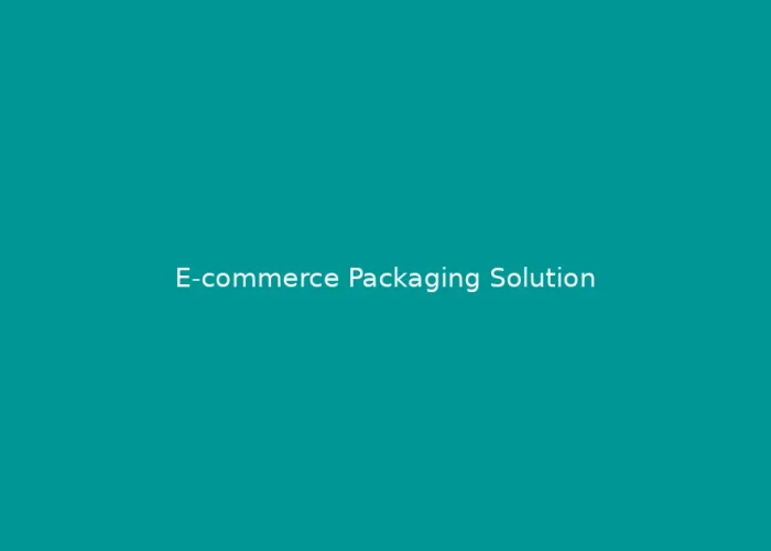 E-commerce Packaging Solution Design: How to Balance Protection, Unboxing Experience, and Cost