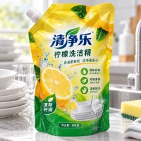 Custom Soap Dispenser Bag Manufacturer for Kitchen Cleaner, Stand-Up Pouch for Dish Soap Refill