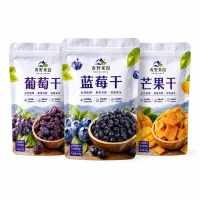 Custom Fruit Dry Packaging Bags – Blueberry Snack Stand-Up Bag – Food Packaging Bag Manufacturer