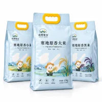 Custom Four-Side Sealed Side Gondola Bag for Rice Packaging
