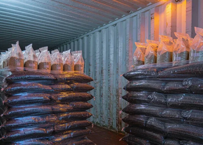 Why Soft Packaging Fails in Export Container Sea Freight: Protection Methods Against Condensation, Stacking, and Temperature-Humidity Cycles